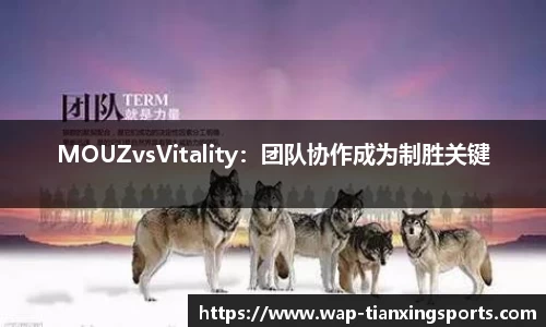 MOUZvsVitality：团队协作成为制胜关键