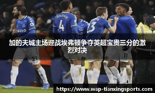 加的夫城主场迎战埃弗顿争夺英超宝贵三分的激烈对决
