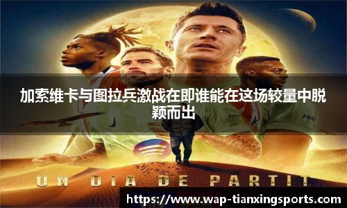 天行体育